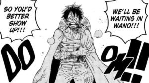Monkey D. Luffy
