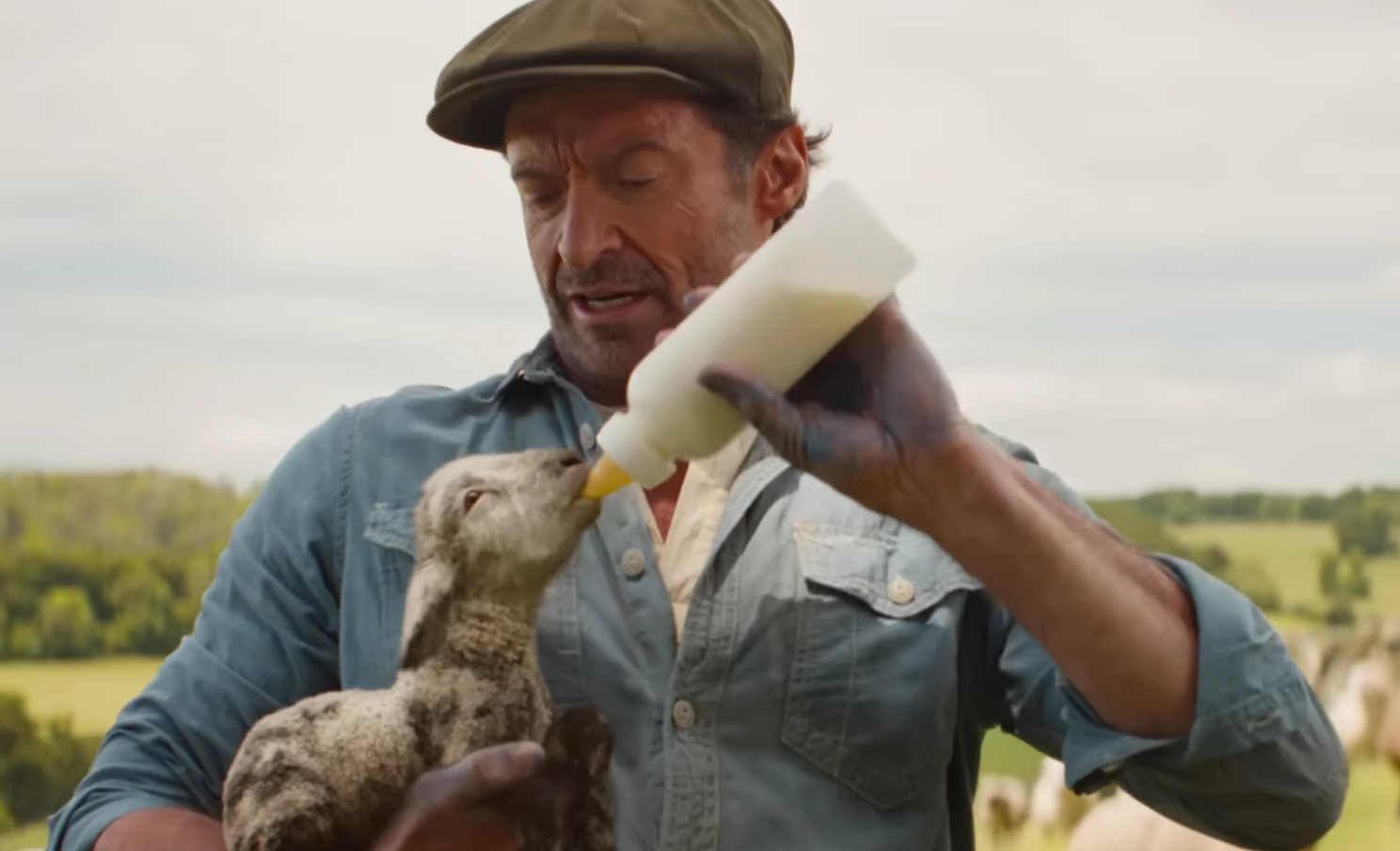 The Sheep Detectives Is a Better Murder Mystery Than It Has Any Right to Be