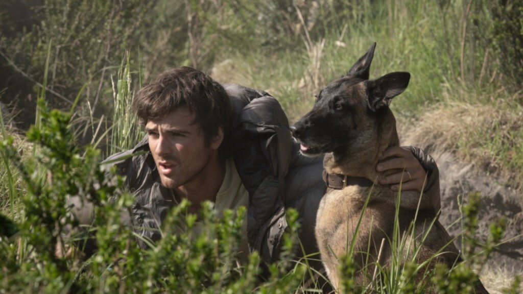 The Dog Stars