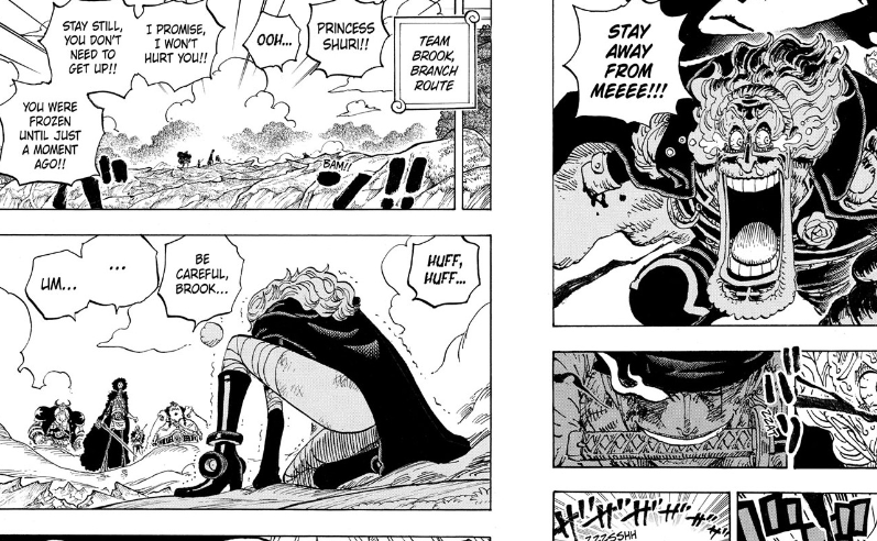 One Piece Chapter 1195